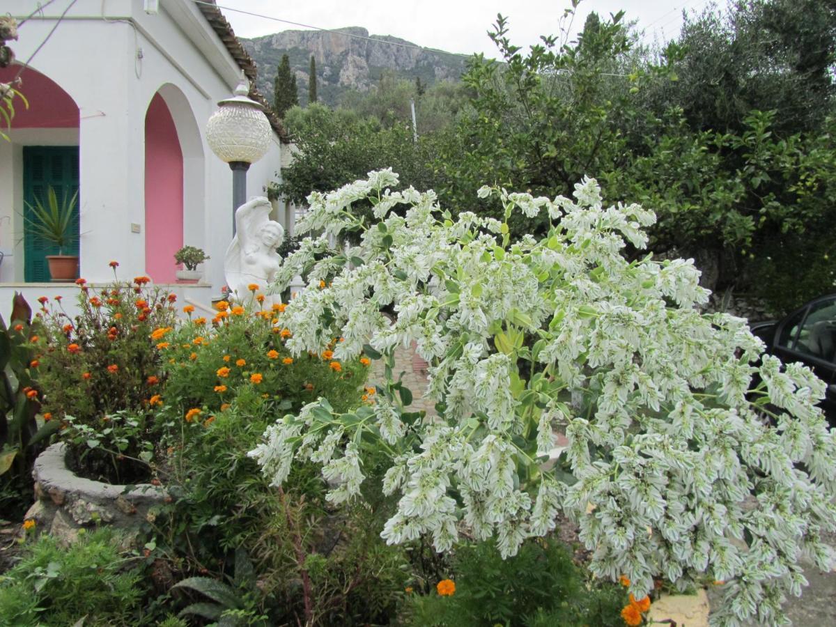 Vanilla House Παλαιοκαστρίτσα Εξωτερικό φωτογραφία